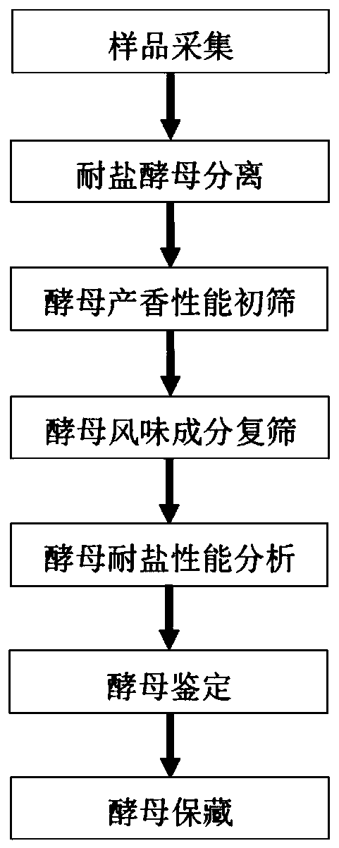 Zygosaccharomyces sp FW30-2 and application thereof