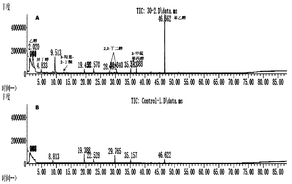 Zygosaccharomyces sp FW30-2 and application thereof