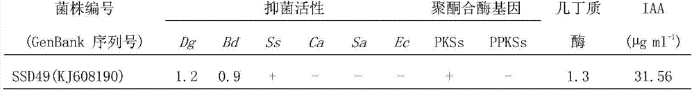 A Strain of Streptomyces and Its Application