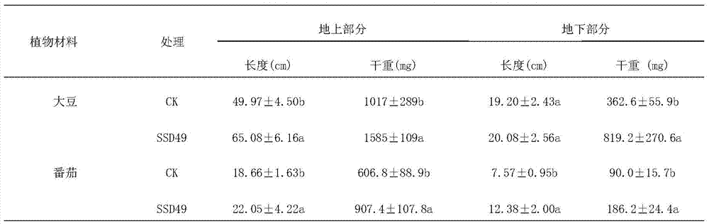 A Strain of Streptomyces and Its Application