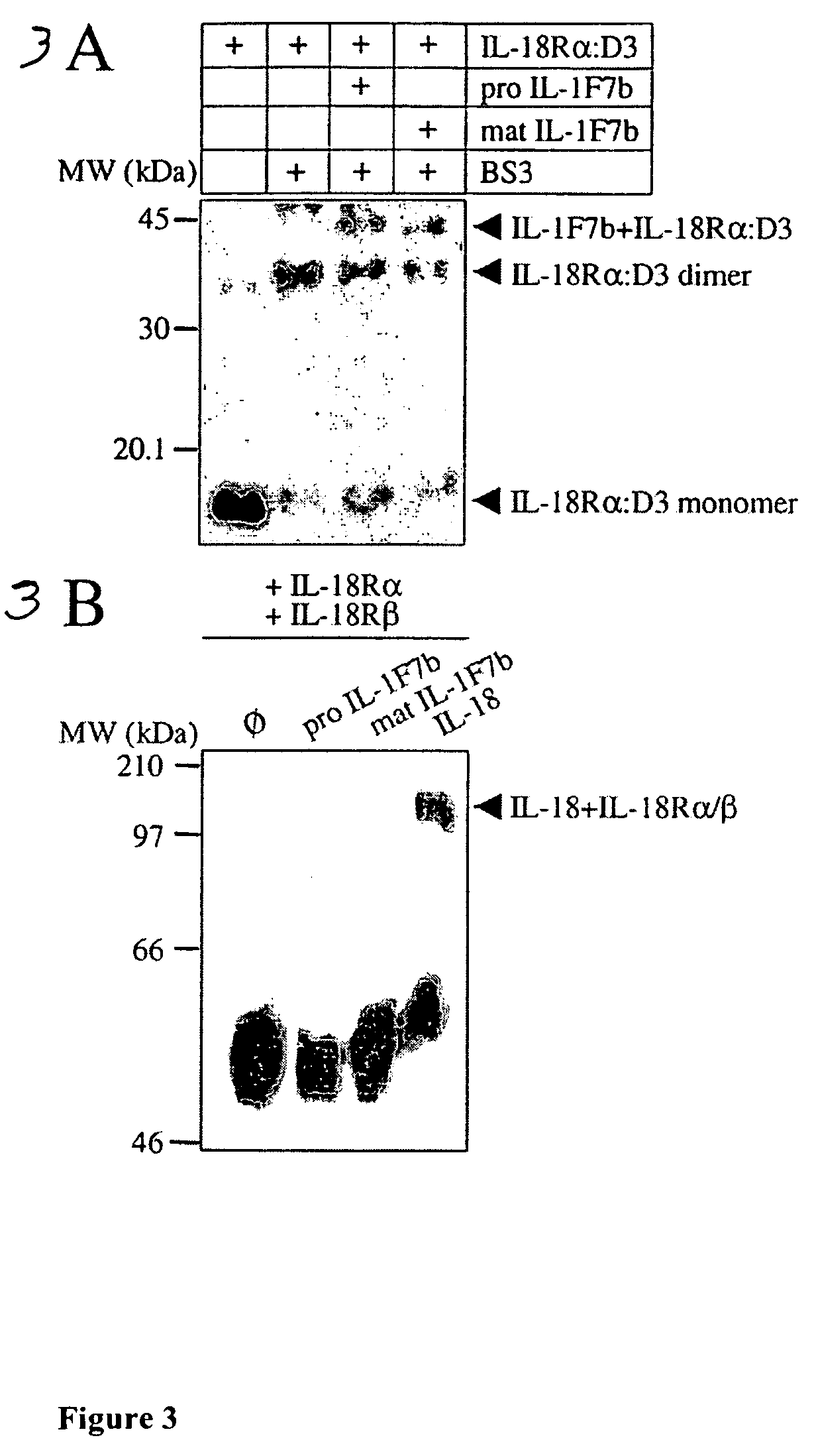 Method of treatment using a cytokine able to bind IL-18BP to inhibit the activity of a second cytokine