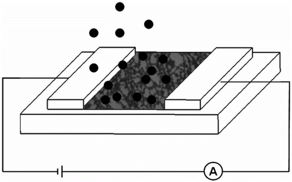 Preparation method of gas sensitive sensor based on carbon nano tube-polypyrrole complex network structure