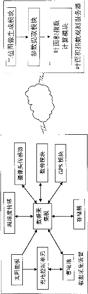 Automatic leaf area index observation system and method