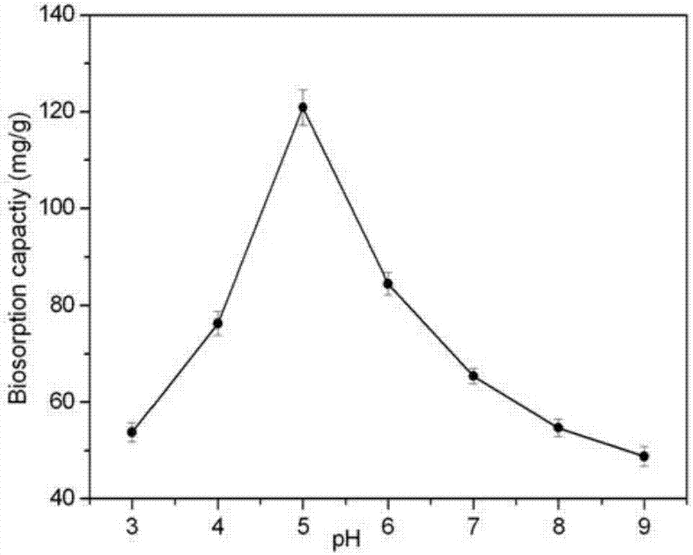 Fusarium sp. strain and application thereof