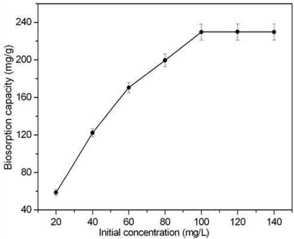 Fusarium sp. strain and application thereof