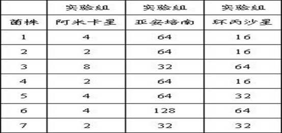 Screening medium suitable for extensively drug-resistant Pseudomonas aeruginosa and preparation method