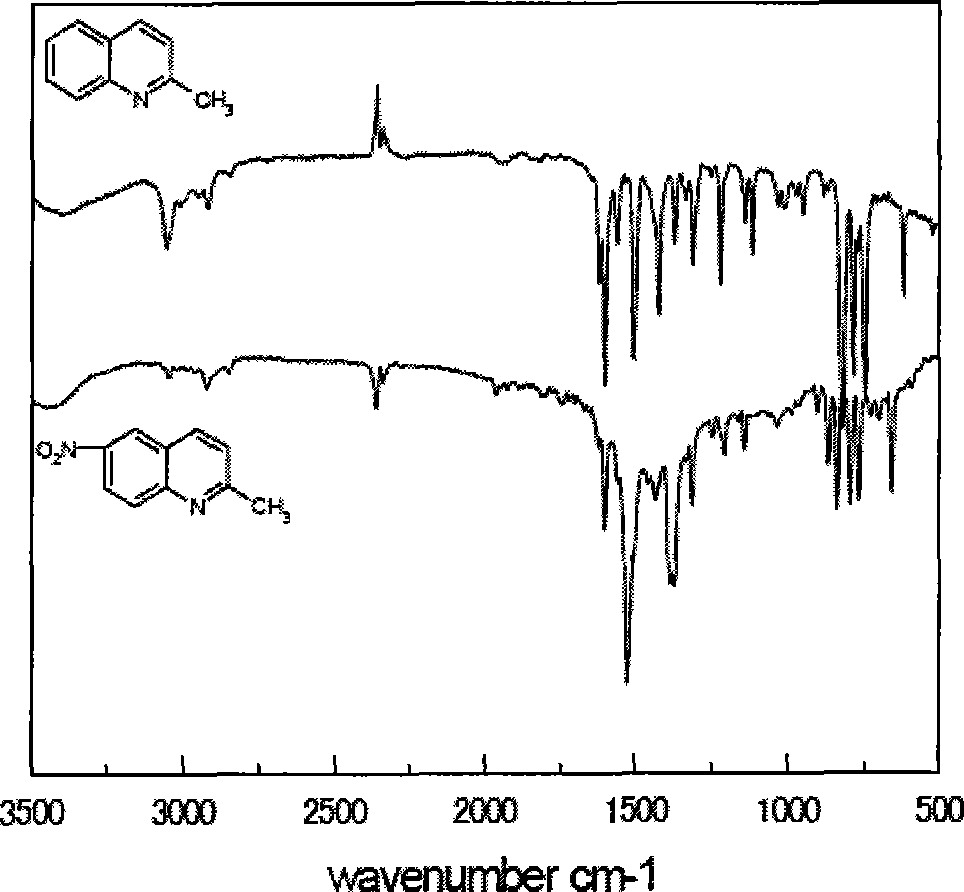 Water-soluble near infrared luminescent quinoline squaraine dye and preparation and application thereof