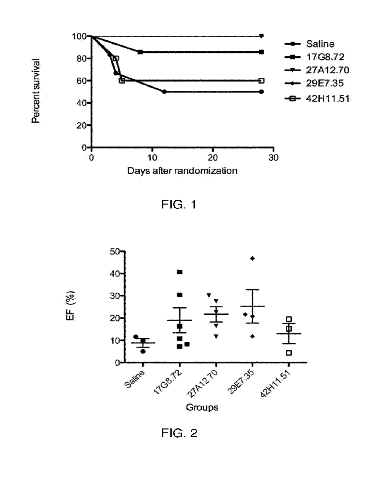 Immunoglobulin-like molecules directed against fibronectin-eda