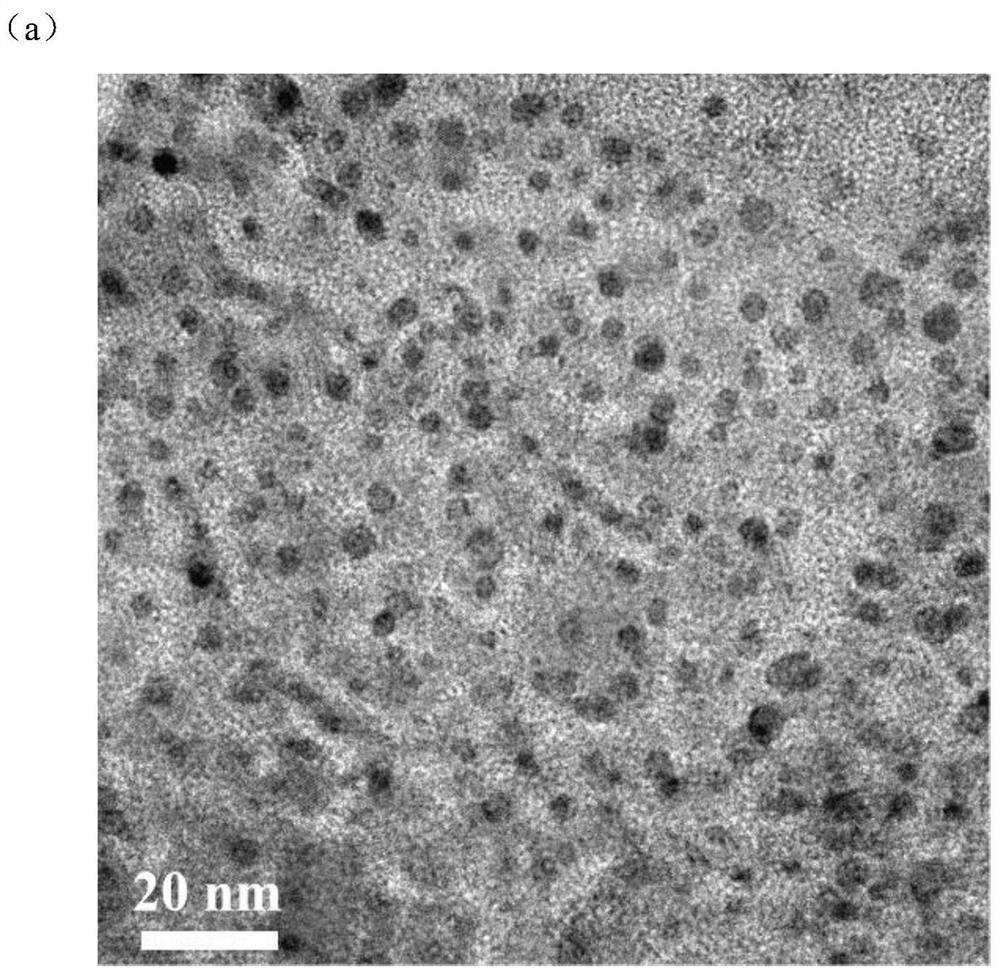 CsPbBr3 quantum dot/nano CuCo2O4 composite photocatalyst for CO2 reduction and preparation method of CsPbBr3 quantum dot/nano CuCo2O4 composite photocatalyst