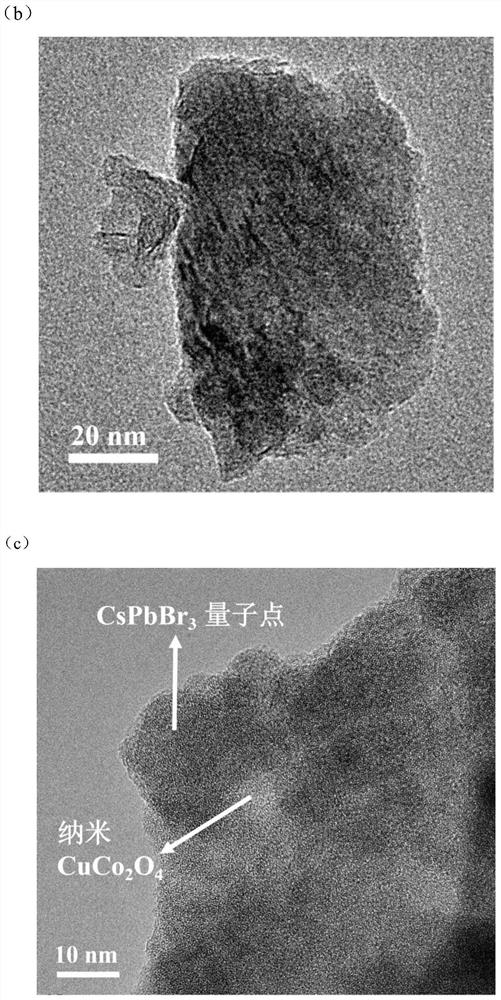 CsPbBr3 quantum dot/nano CuCo2O4 composite photocatalyst for CO2 reduction and preparation method of CsPbBr3 quantum dot/nano CuCo2O4 composite photocatalyst