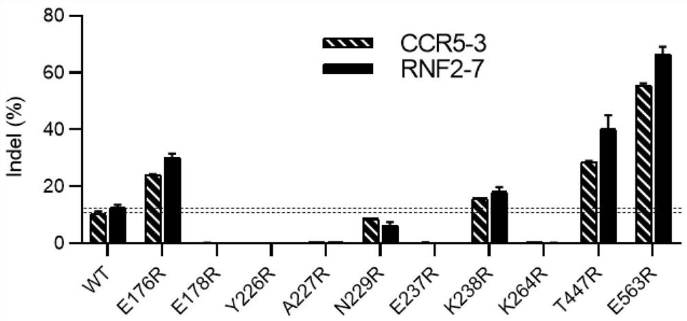 Engineered Cas12i nuclease as well as effect protein and application thereof
