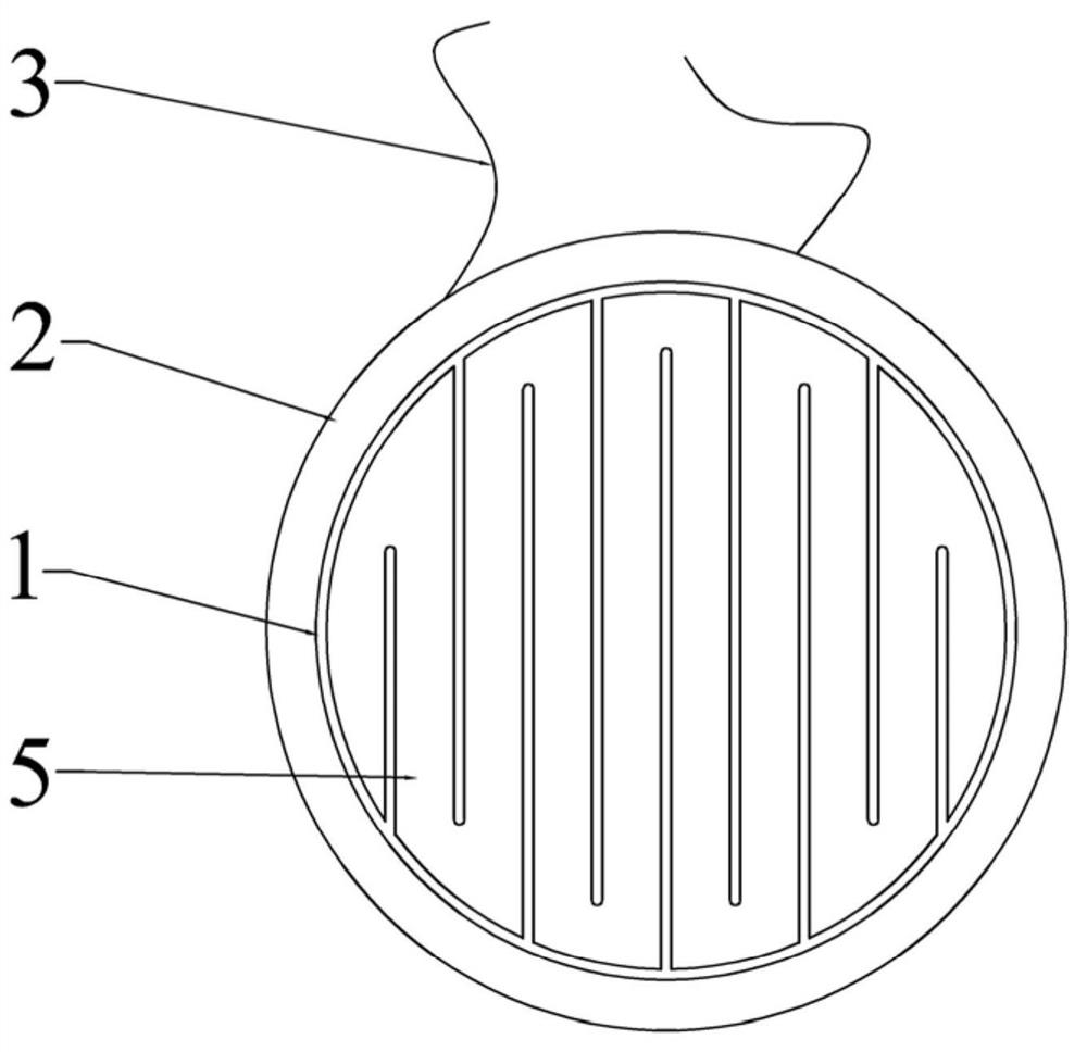 Composite diaphragm of flat panel speaker and earphone speaker with same