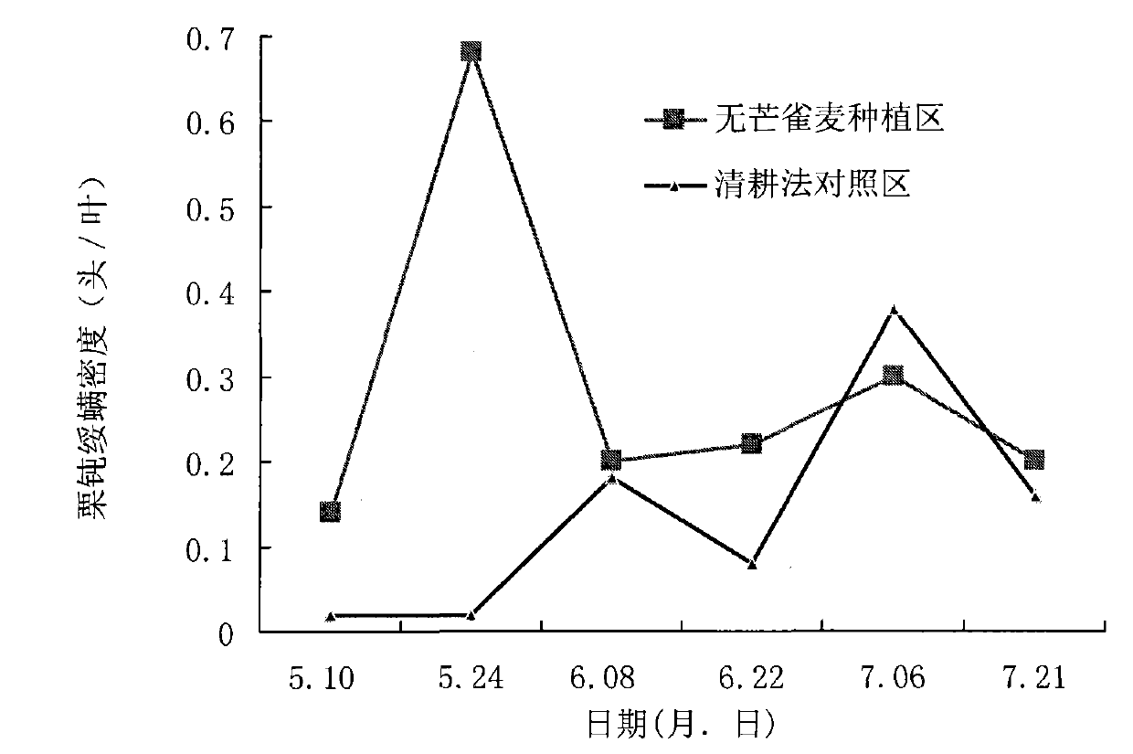 Method for intercropping cover plant in glade of cold temperate zone