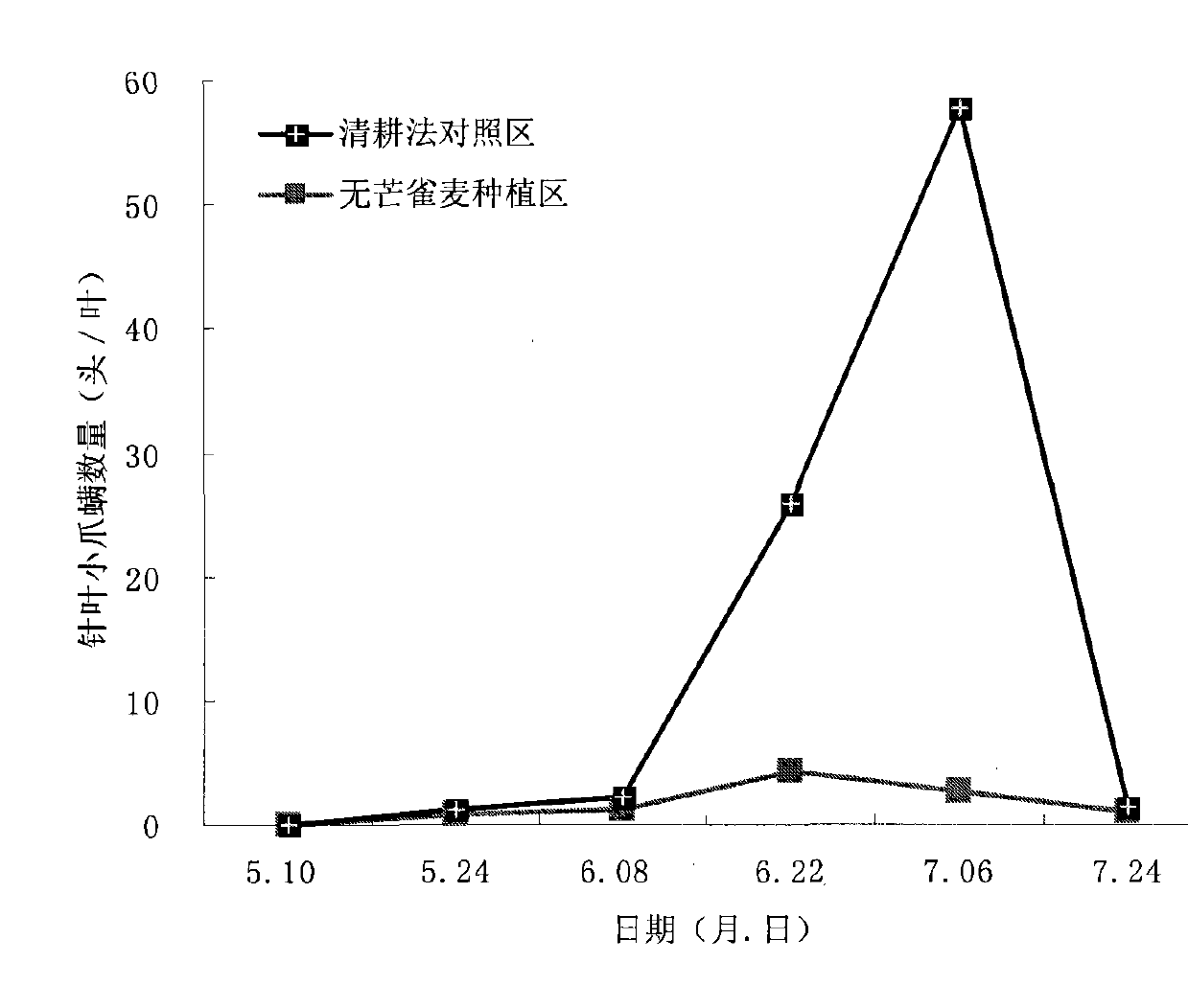 Method for intercropping cover plant in glade of cold temperate zone