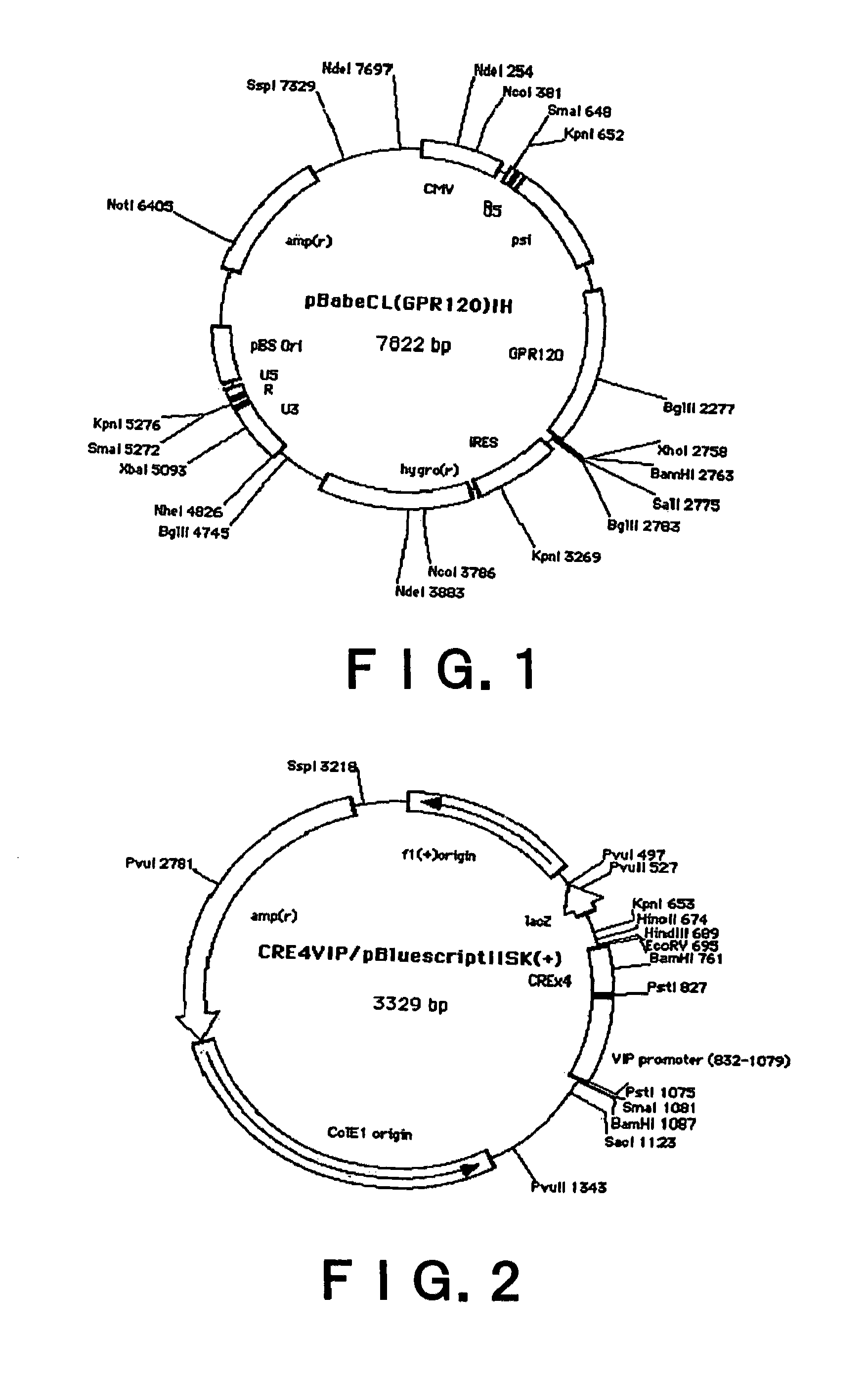 Method for screening of substance which alter GPR120-mediated cell-stimulating activities