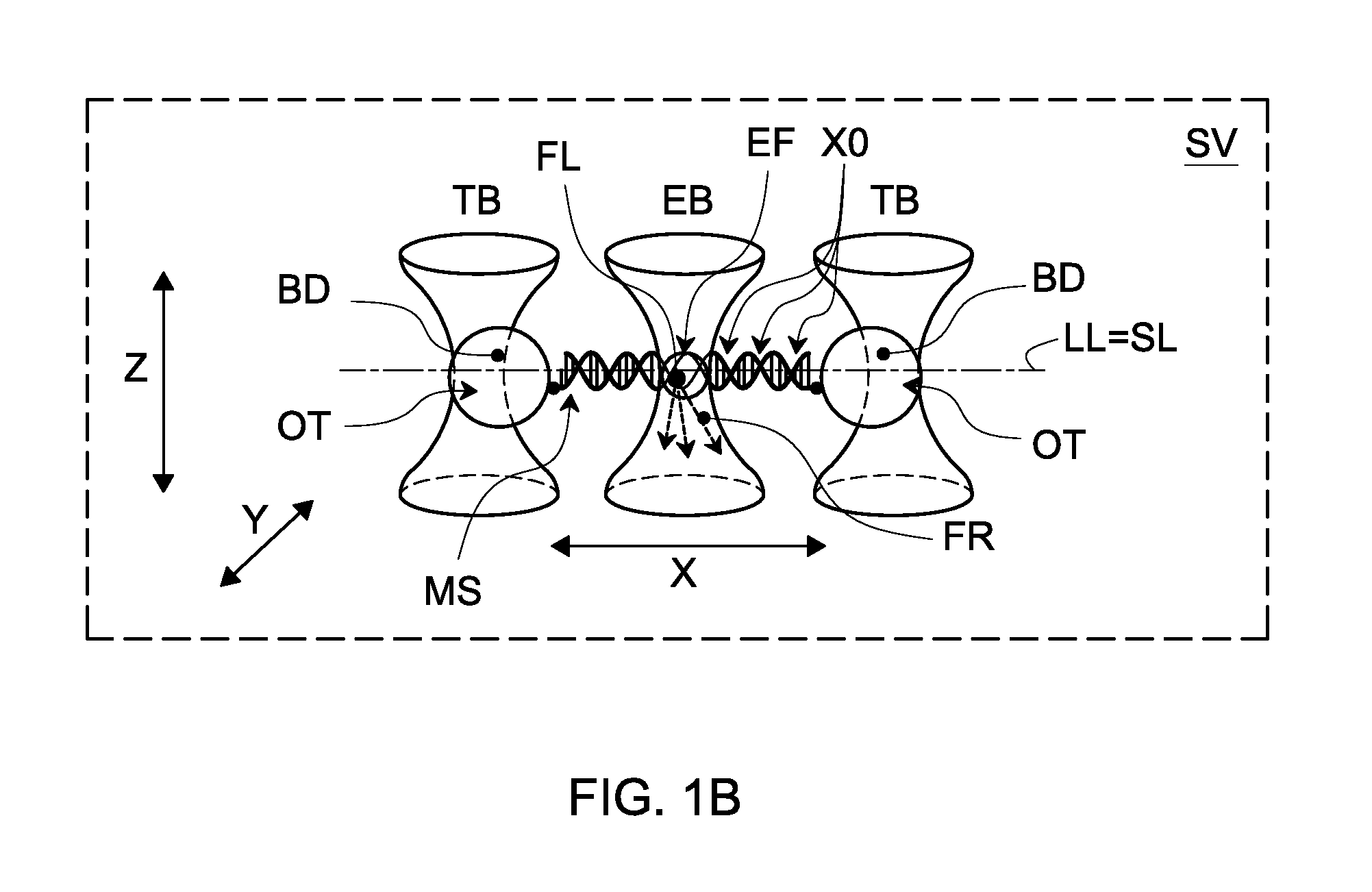 Method and system for imaging a molecular strand