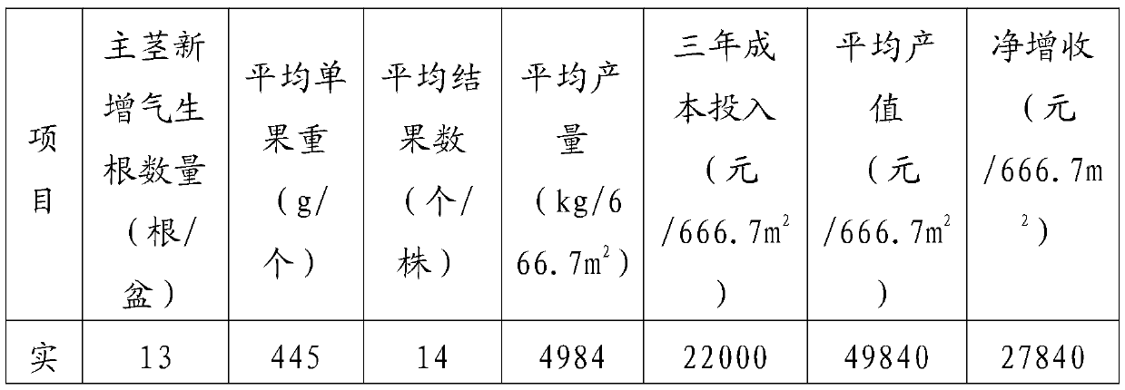 Water and fertilizer application method for potted red dragon fruit in coastal saline-alkali land