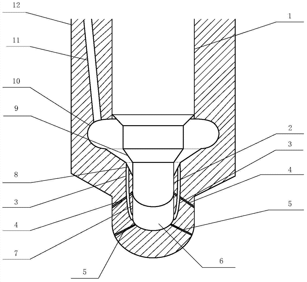 Diesel injector capable of successively injecting oil