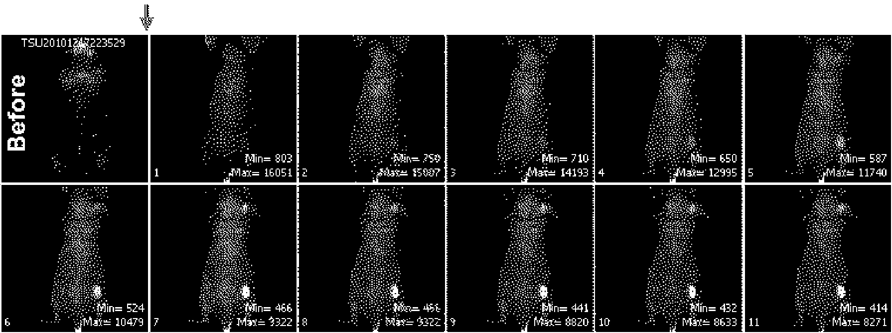 Method for detecting cancer cell using fluorescently labeled L-glucose derivative, and cancer cell-imaging agent comprising fluorescently labeled L-glucose derivative