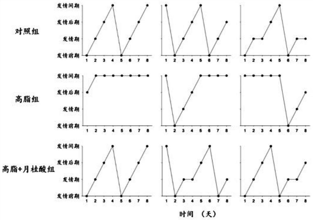 Application of lauric acid in improving animal reproductive function damage