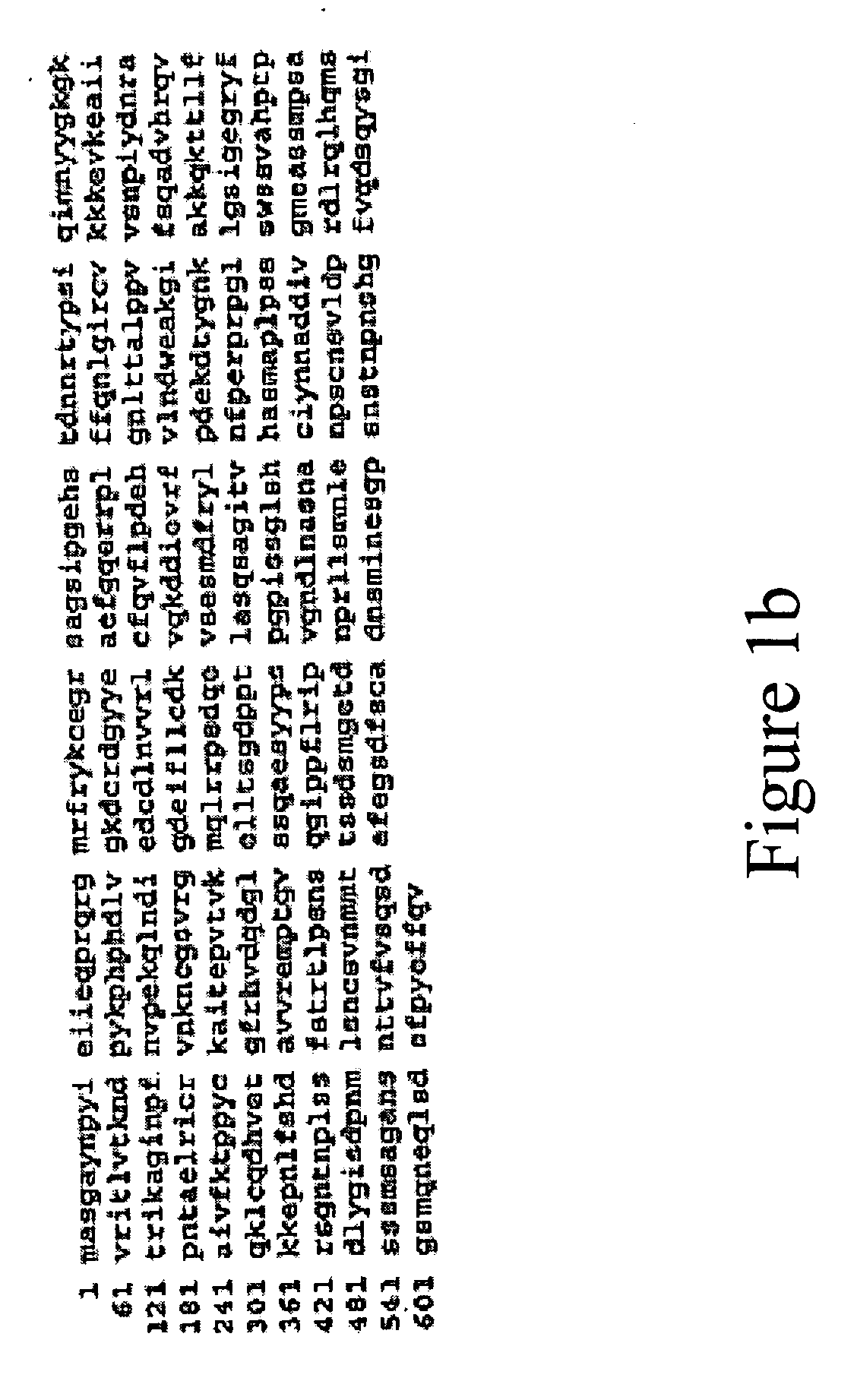 Compositions and methods for modulating c-Rel-dependent cytokine production