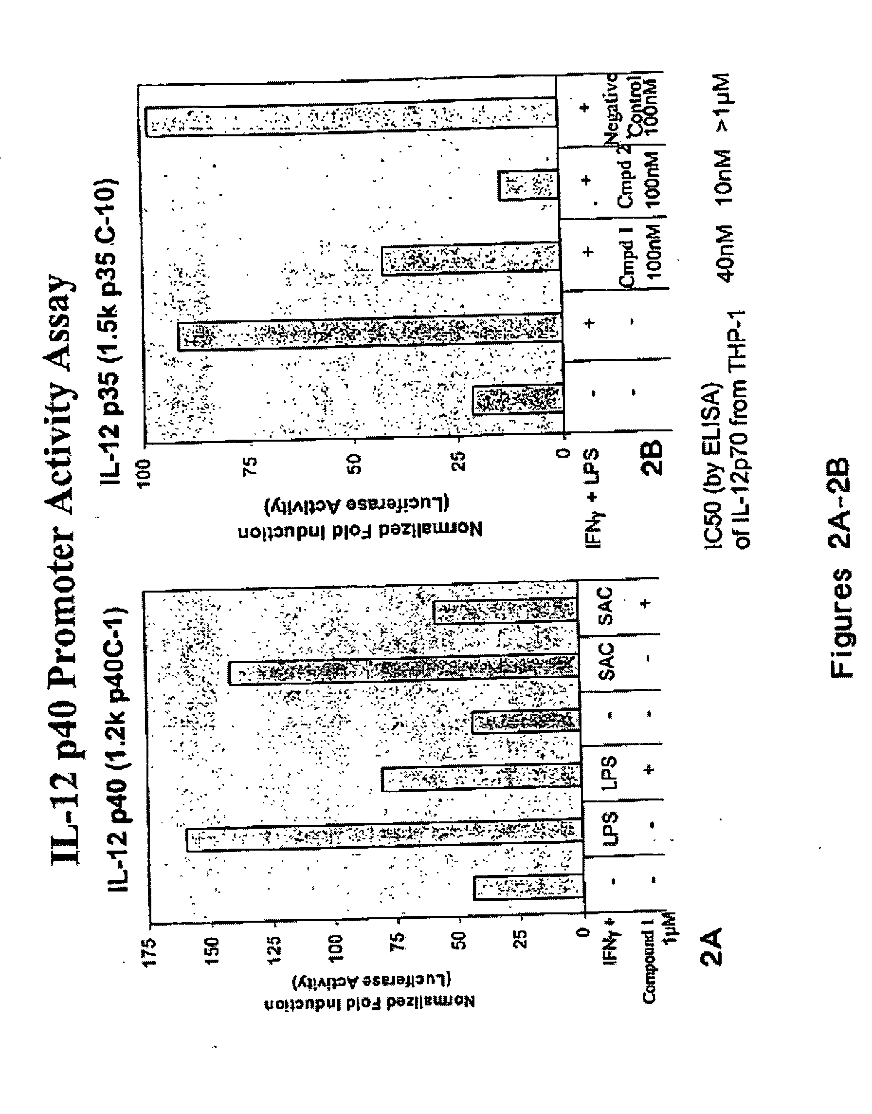 Compositions and methods for modulating c-Rel-dependent cytokine production