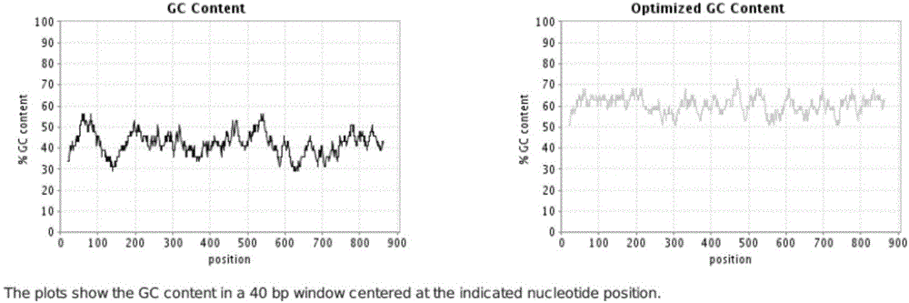 Application of codon-optimized trichosanthin gene in gene therapy