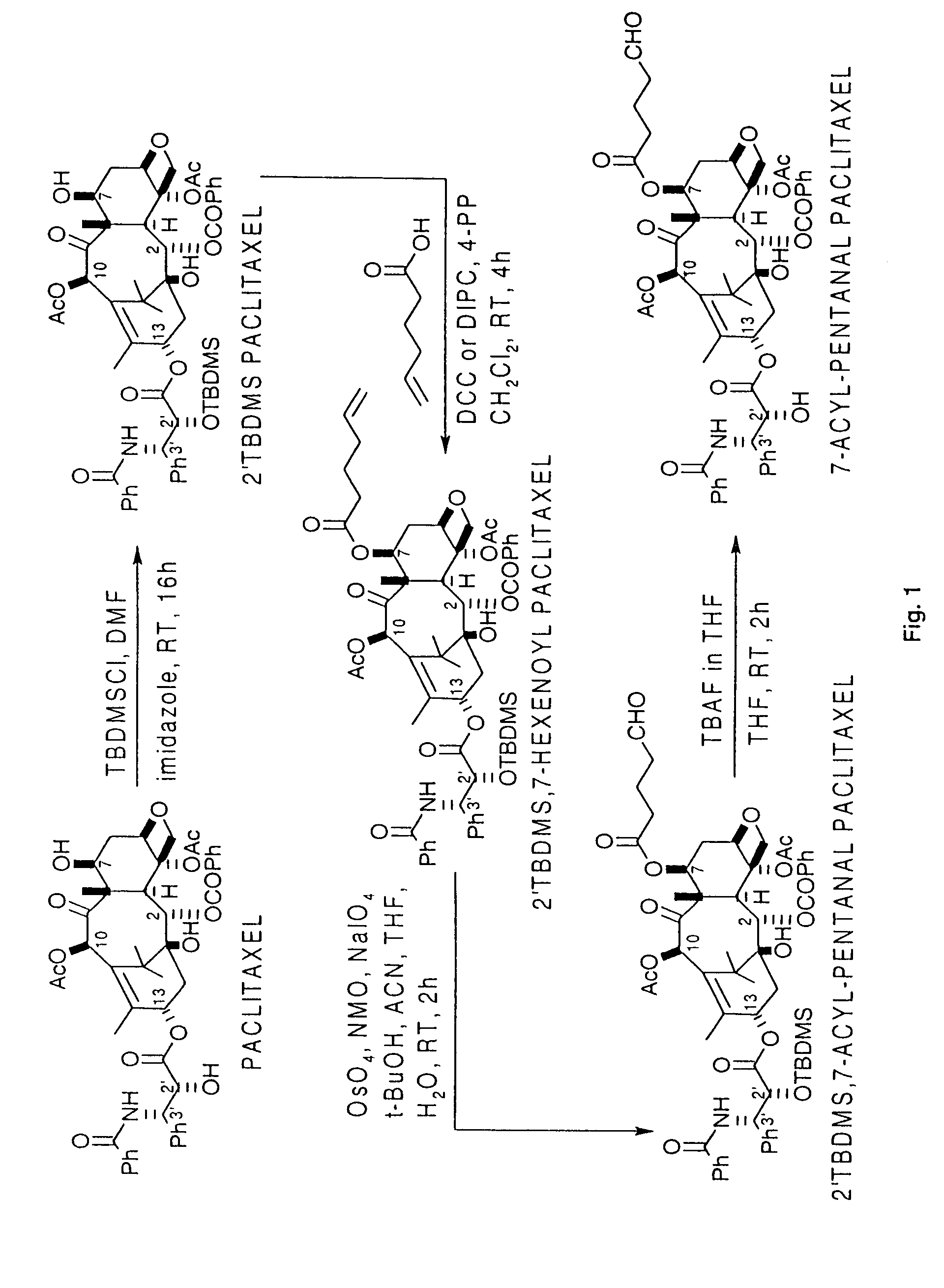 Molecular conjugates for use in treatment of cancer