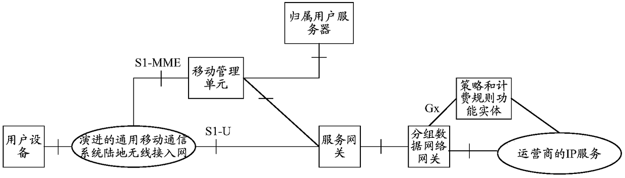 A network element management method, device, system, and control plane functional entity