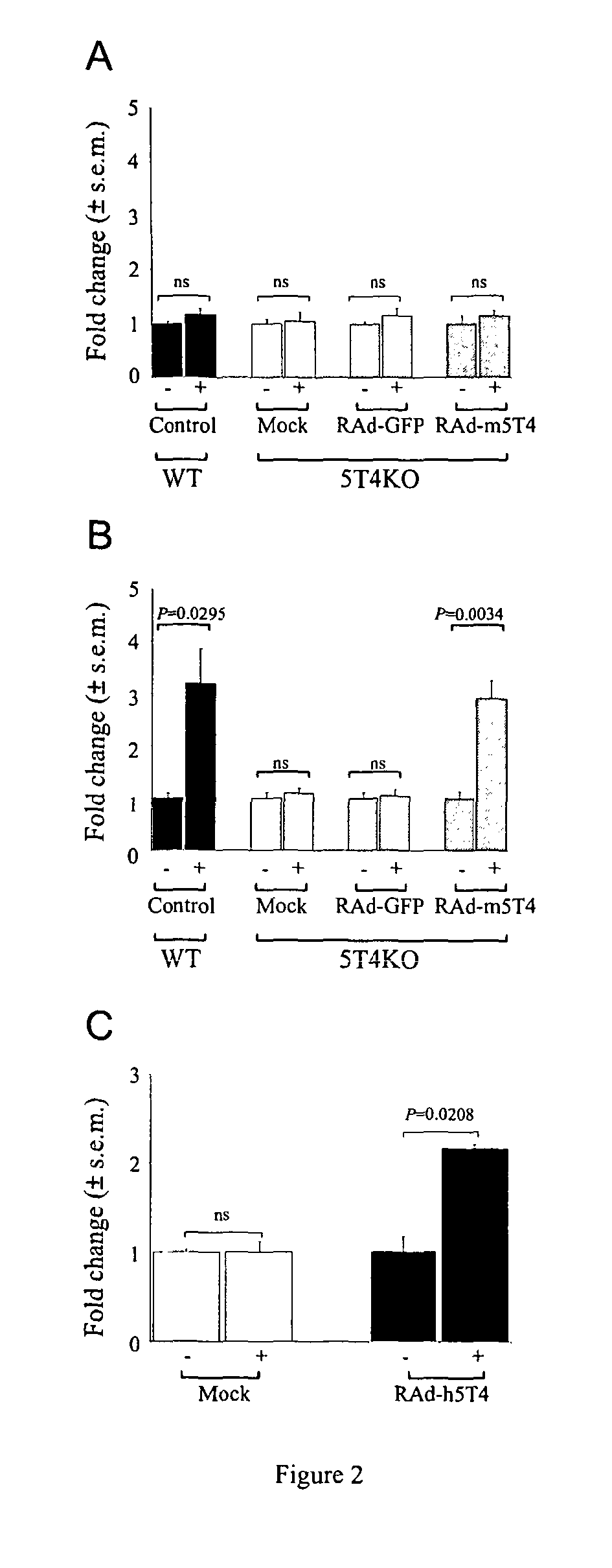 Prognostic,. screening and treatment methods and agents for treatment of metastasis and inflammation using 5t4 oncofoetal glycoprotein