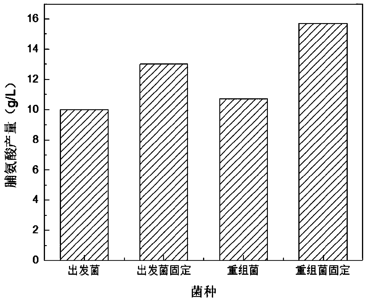 A strain of Corynebacterium glutamicum overexpressing adenosine triphosphate and its construction method and application
