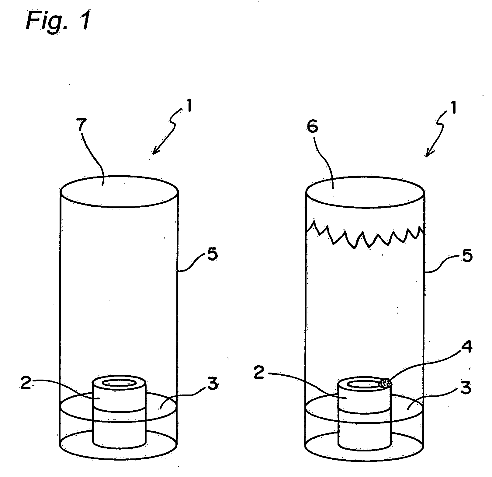 Apparatus for culturing organism and method of culturing organism