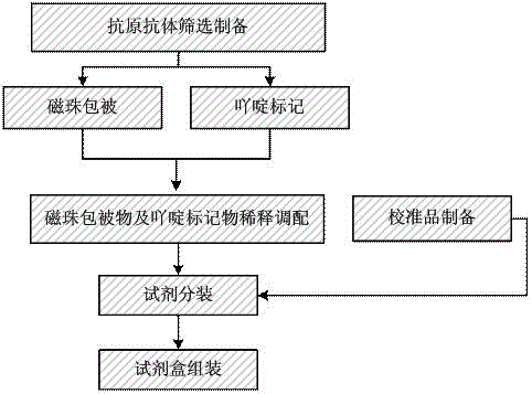 Antinuclear antibody chemiluminescence immunoassay kit and preparation method thereof