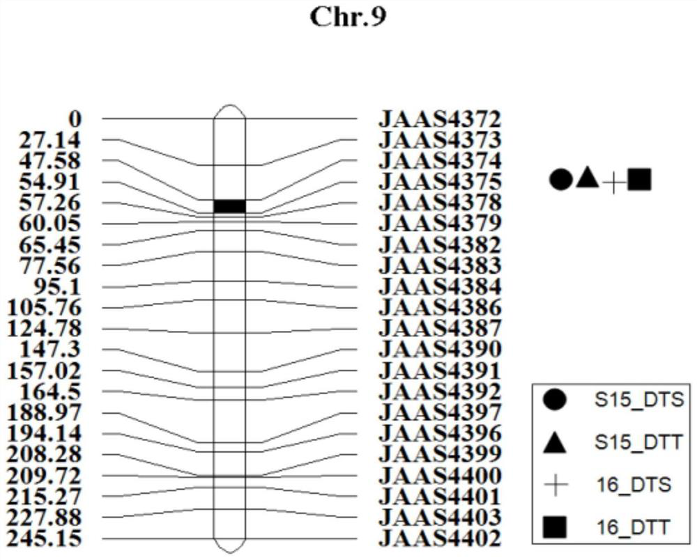 A Molecular Marker of Maize Chromosome 9 Anthesis Qtl Locus and Its Application