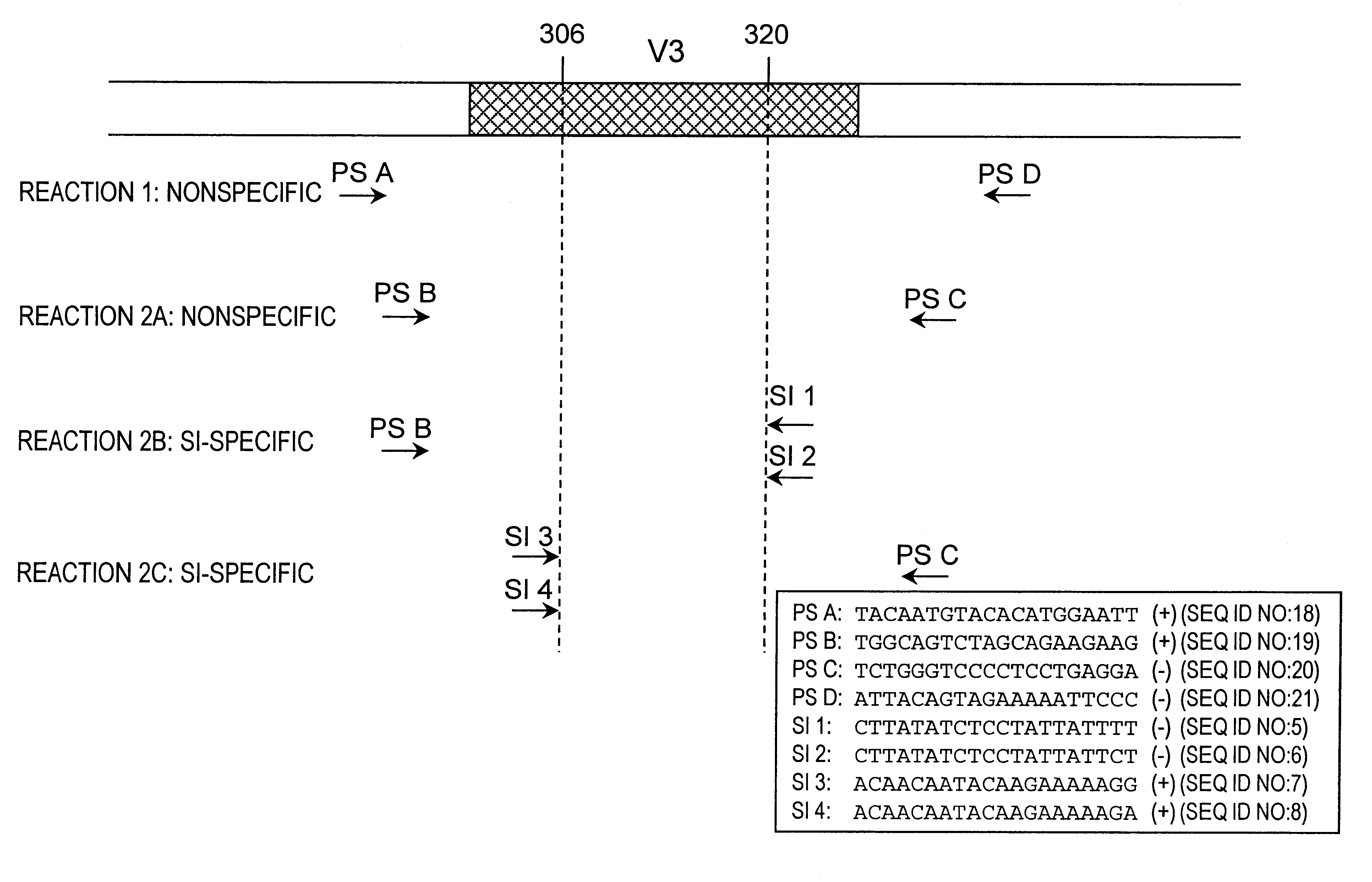 Nucleic acids and methods for the discrimination between syncytium inducing and non syncytium inducing variants of the human immunodeficiency virus