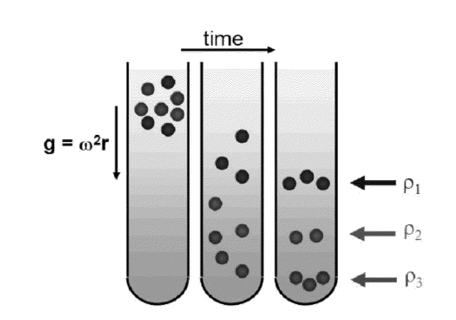 Monodisperse Single-Walled Carbon Nanotube Populations and Related Methods for Providing Same