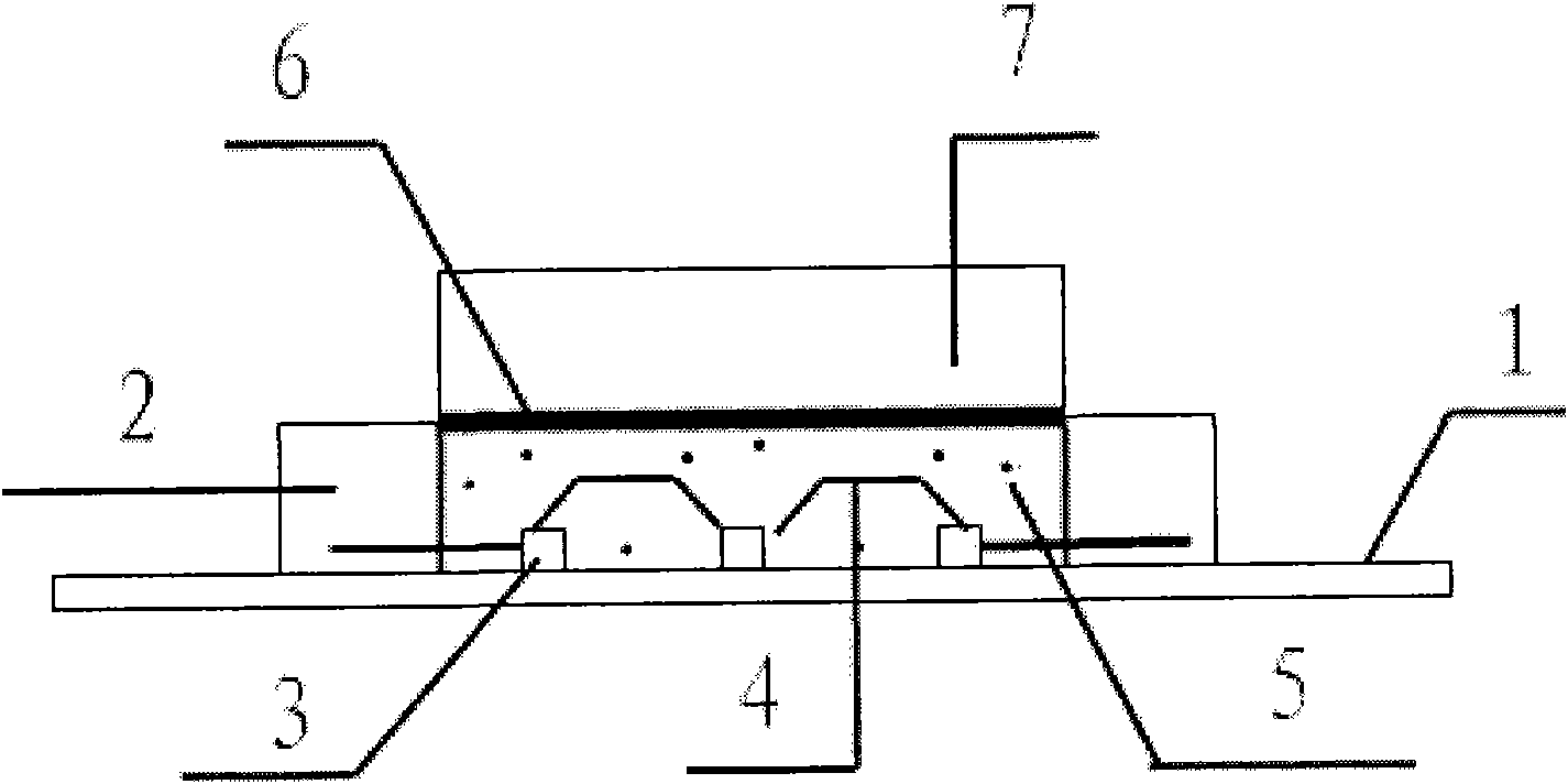 Integrated light source structure with wide-angle transmission
