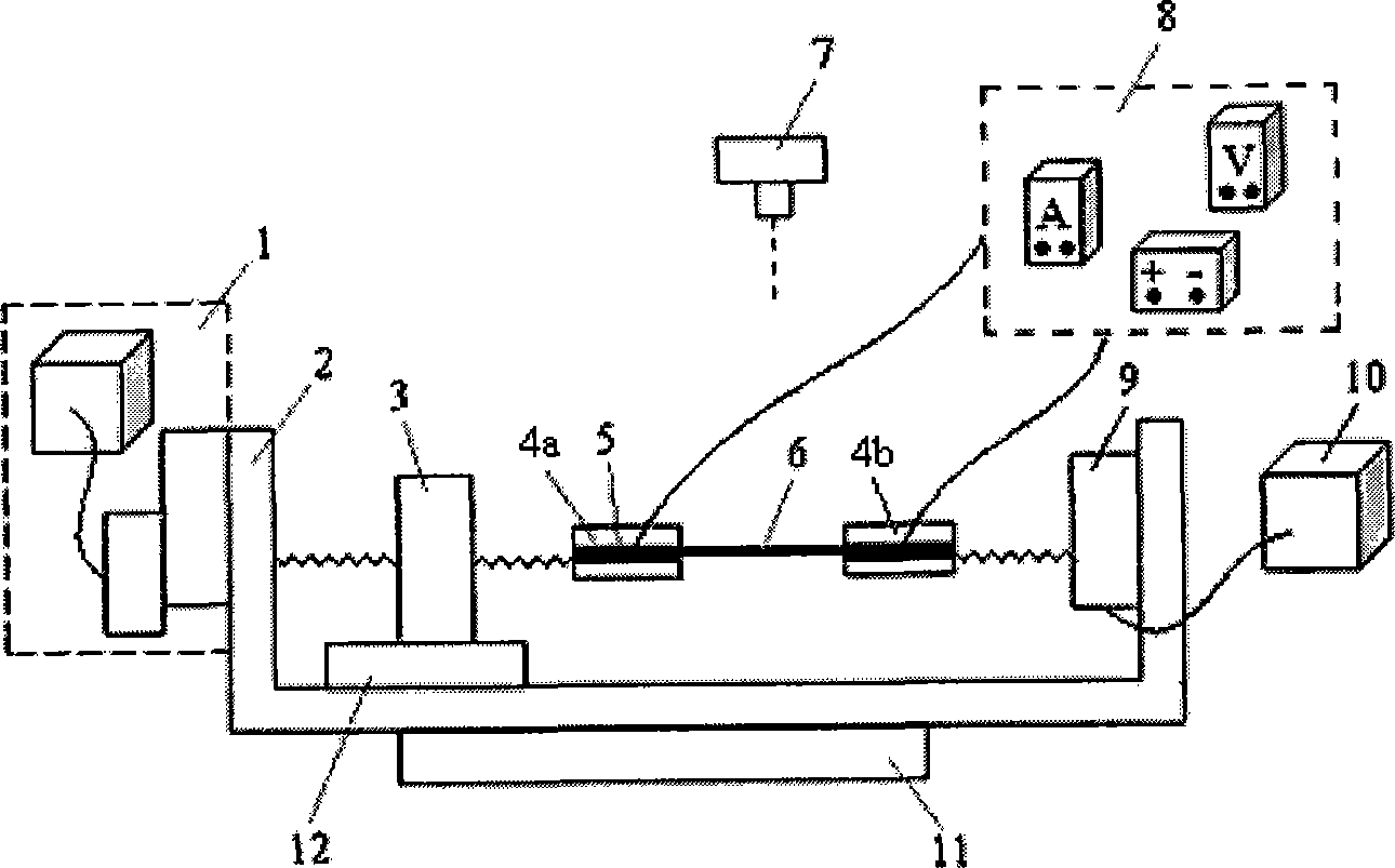 Method for measuring surface deformation under action of metal interconnection line force/electricity coupling
