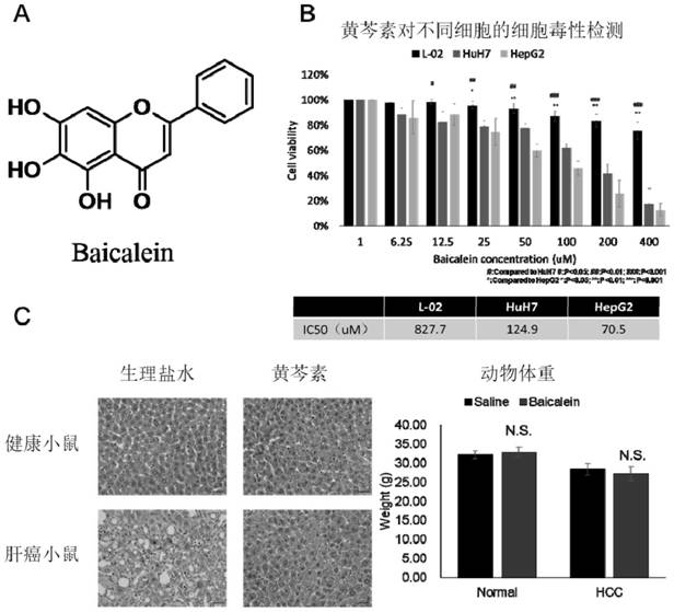 A kind of baicalein activity probe and its synthesis method and application