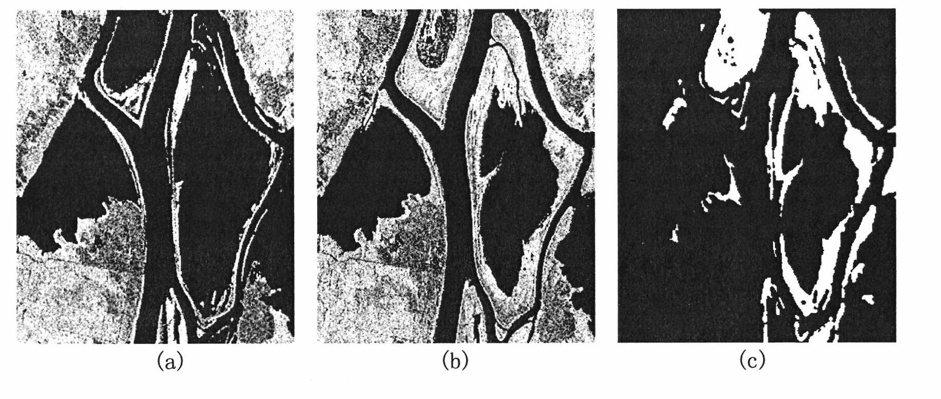 Method for detecting change of SAR images based on neighborhood similarity and double-window filtering