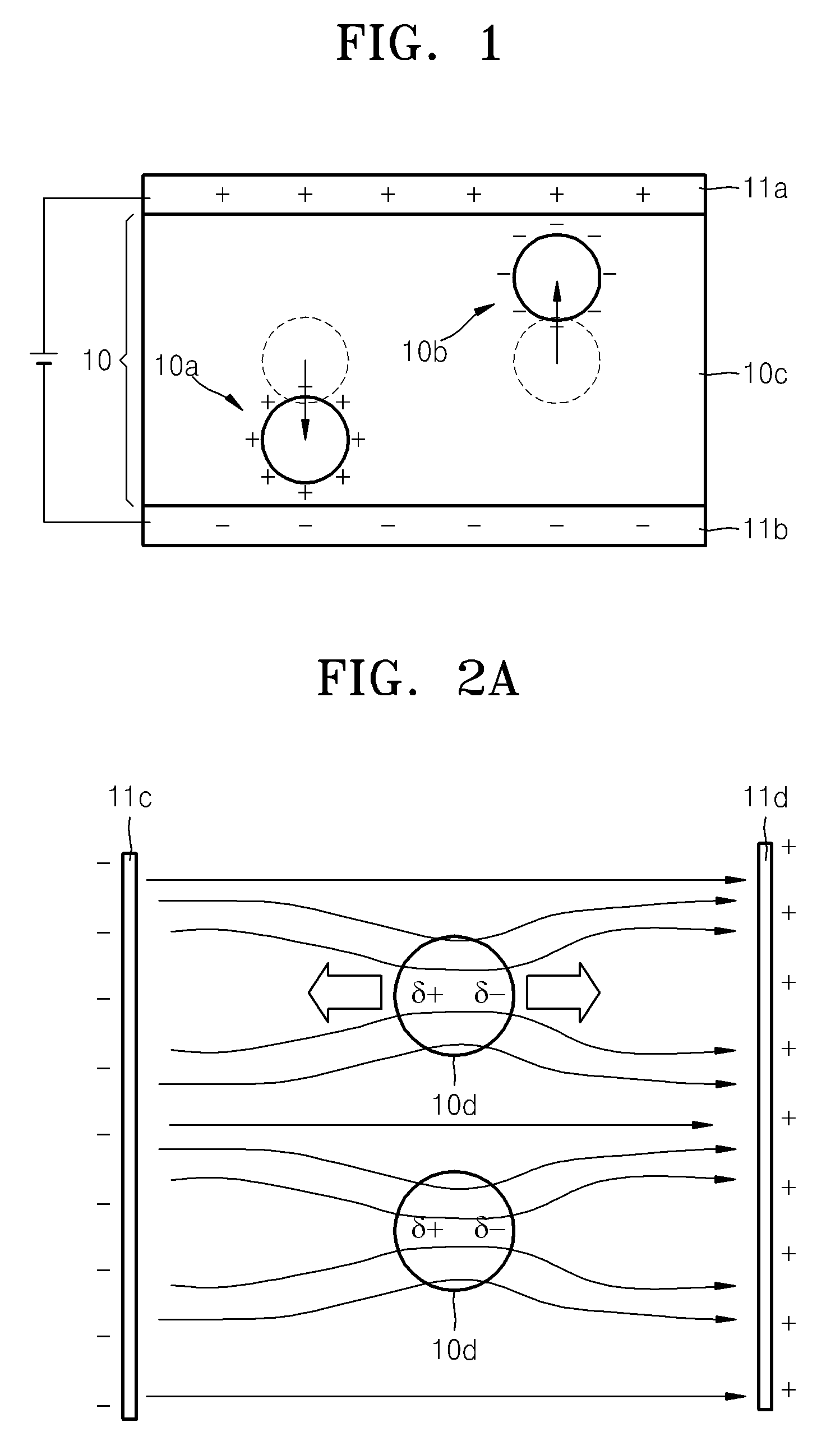 Electro-dielectro-phoretic display device and method thereof
