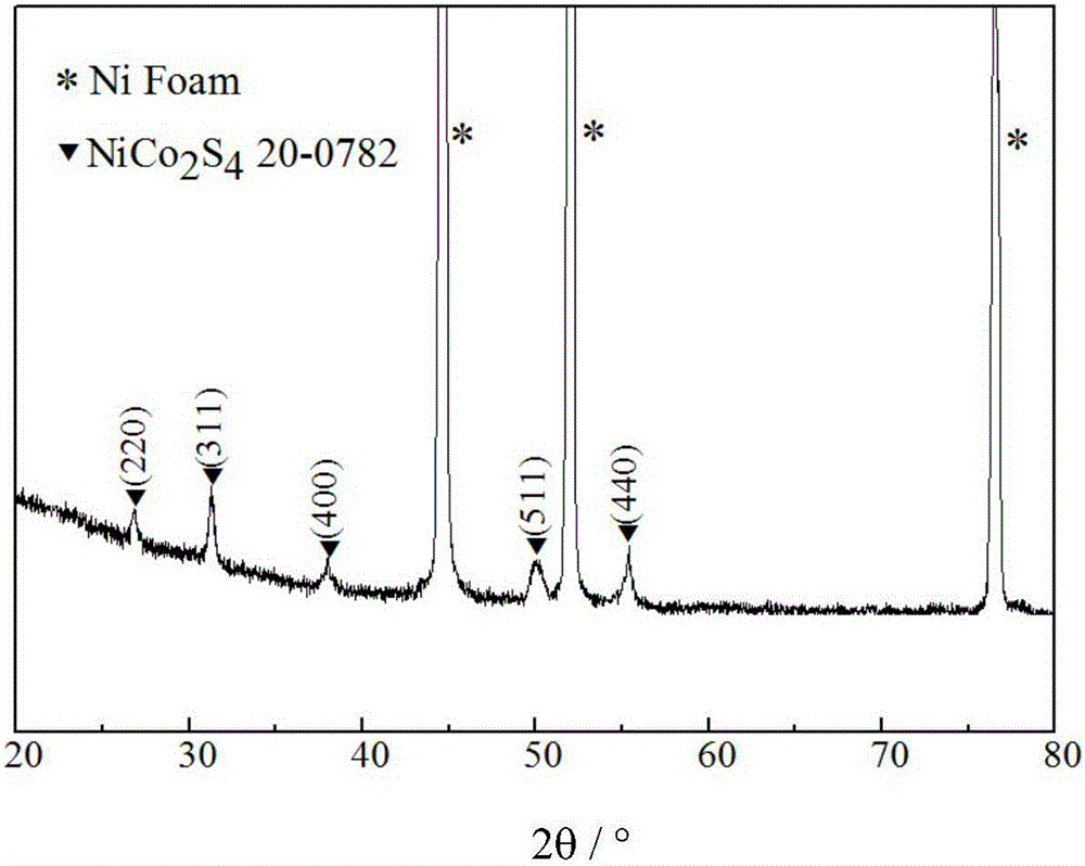 Polypyrrole-coated nickel cobalt sulfide nanotube material, preparation method and applications