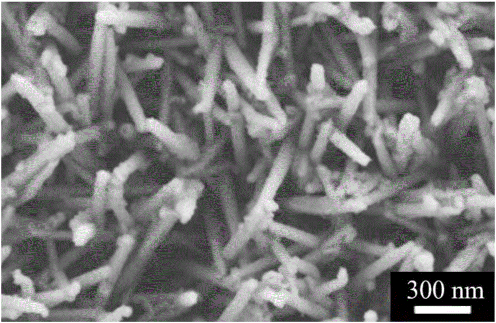 Polypyrrole-coated nickel cobalt sulfide nanotube material, preparation method and applications