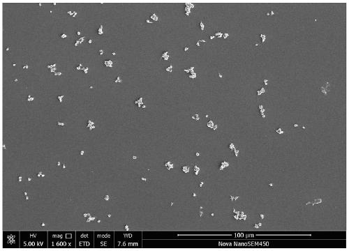 Long-term anti-freezing antibacterial coating for extracorporeal membrane oxygenation (ECMO) device and preparation method of long-term anti-freezing antibacterial coating