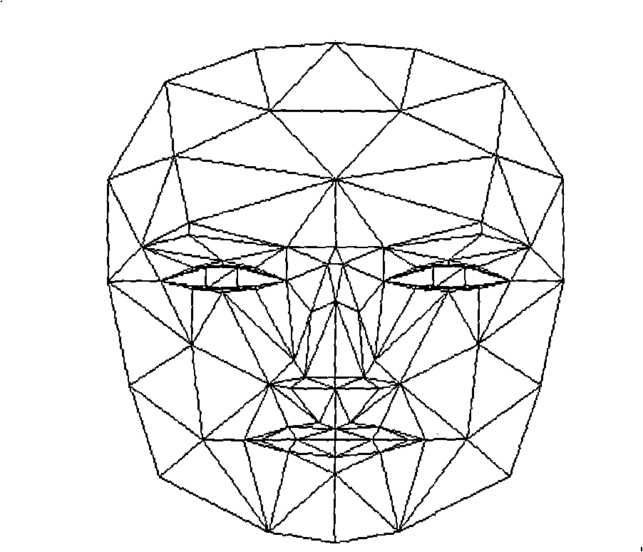 Three-dimensional human face modelling approach based on front side image