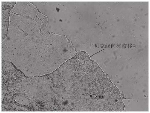 Method and system for determining protrusion grade of transparent minerals in rock, and application of system