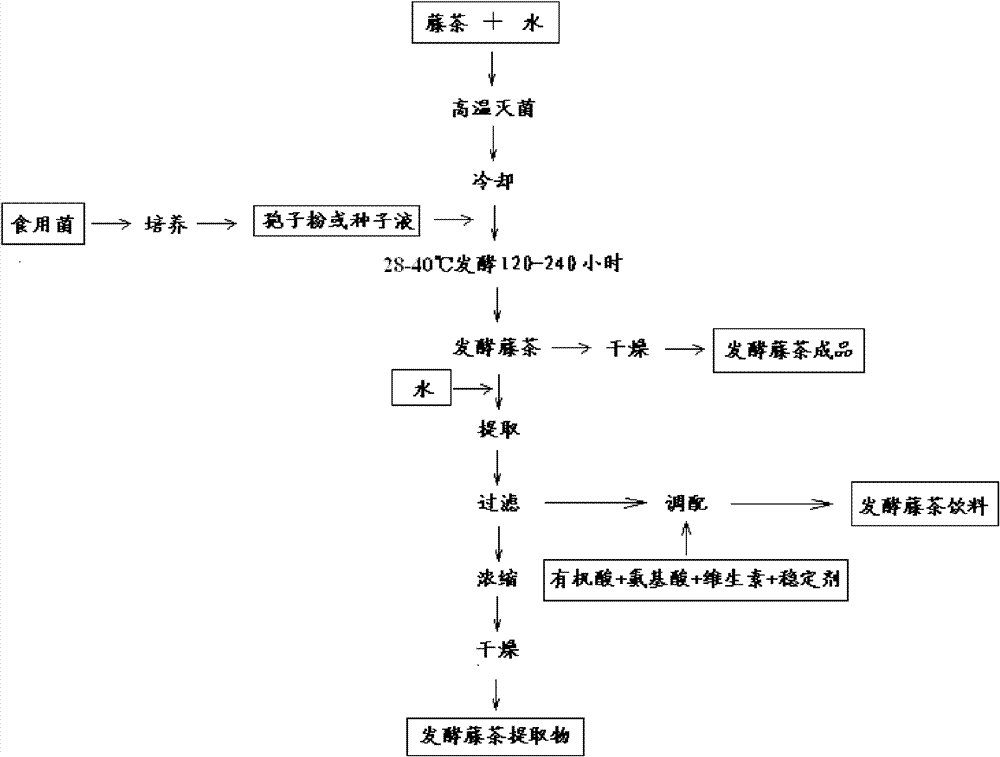 Production method of fermented vine tea, vine tea extract and vine tea drink