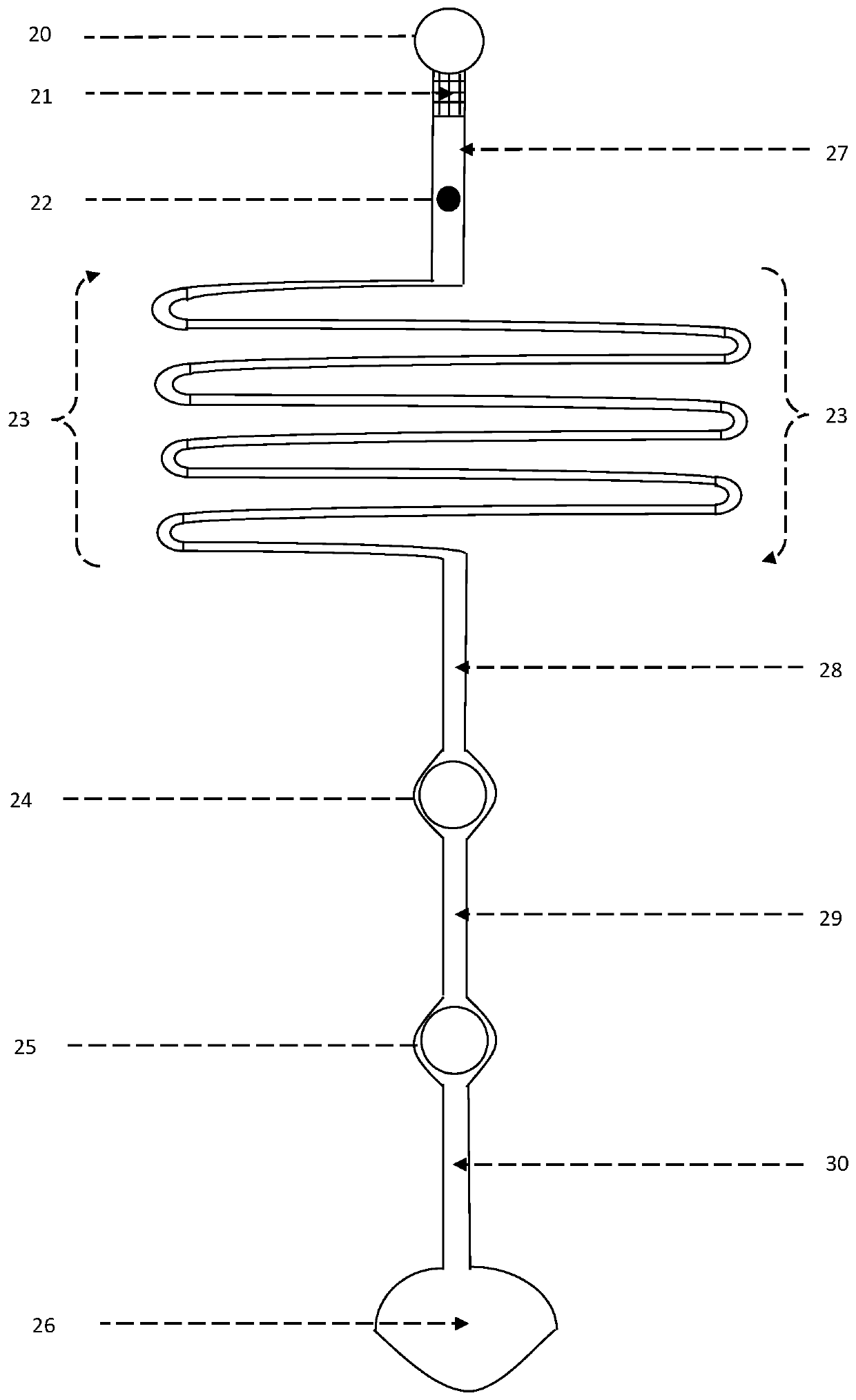 A microfluidic chip for fluorescent immunoassay and its preparation method