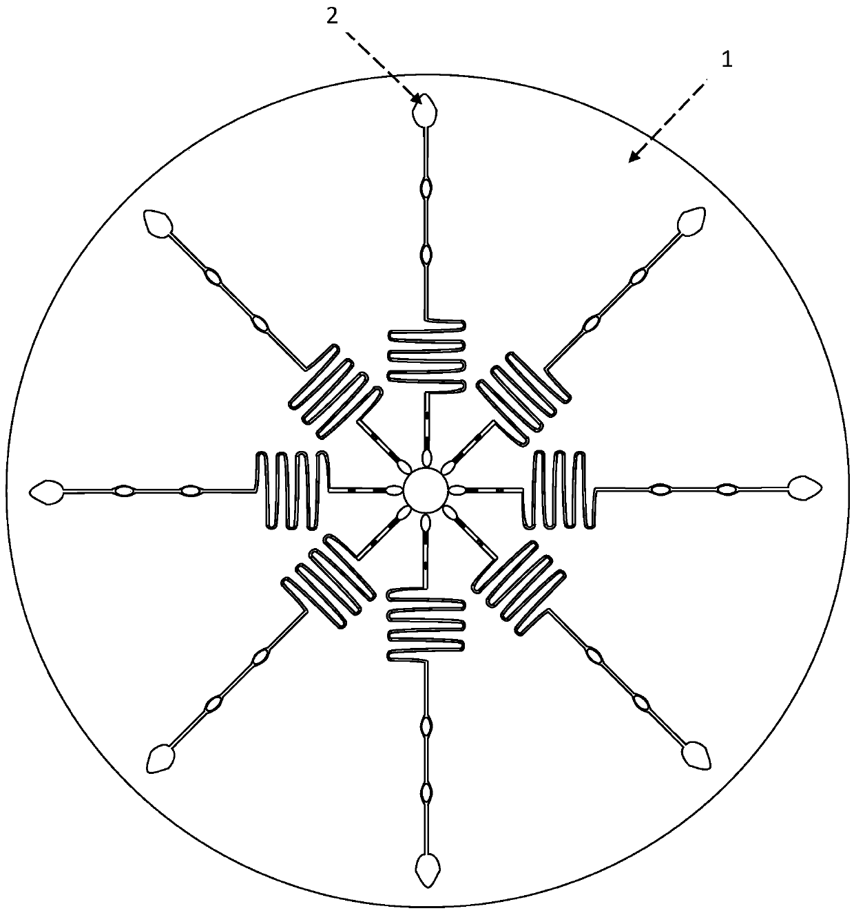 A microfluidic chip for fluorescent immunoassay and its preparation method