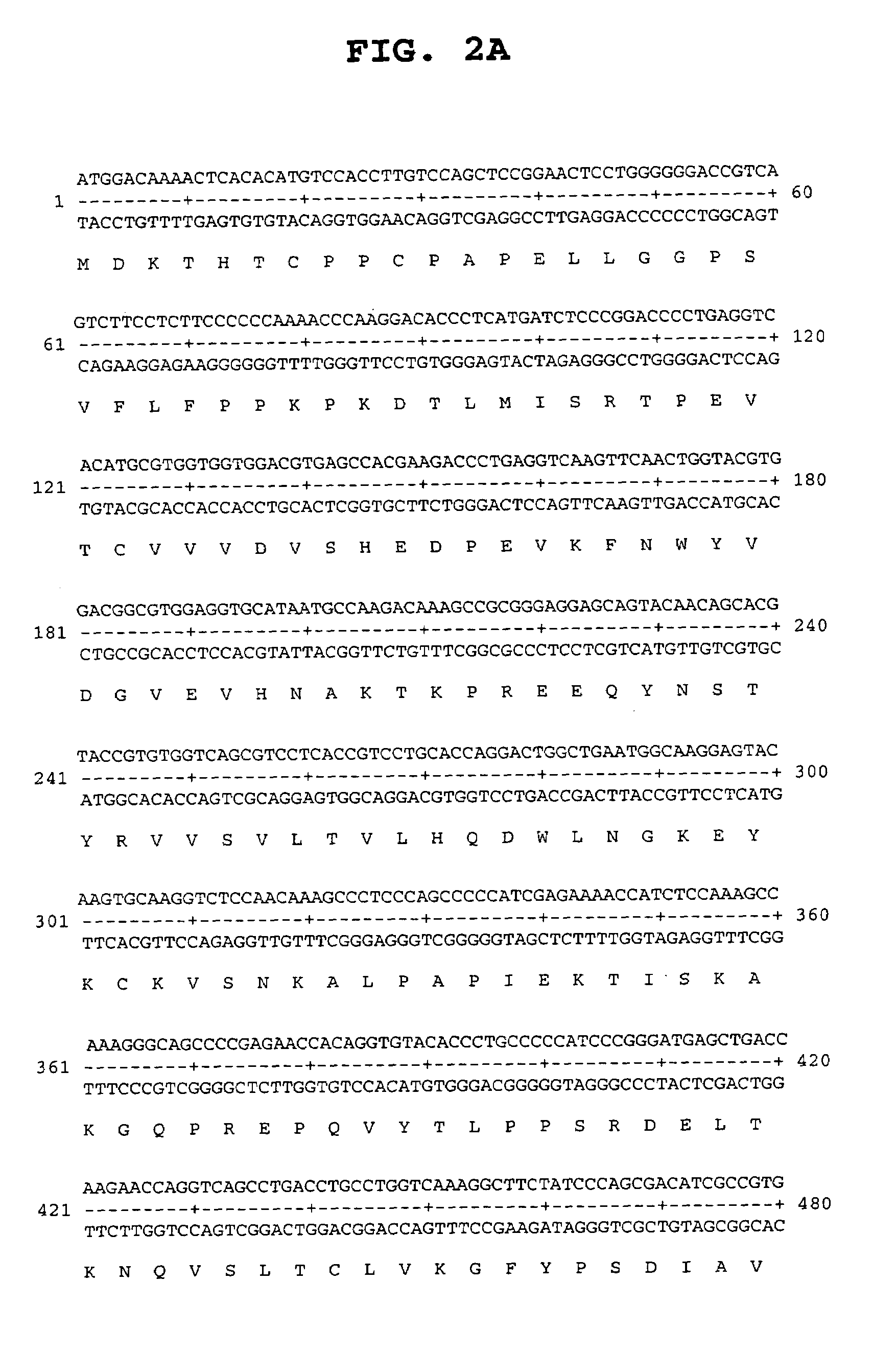 Peptides and related molecules that modulate nerve growth factor activity